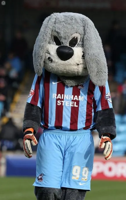 Minunate echipe de fotbal, mascotele 25 poze amuzante bancuri