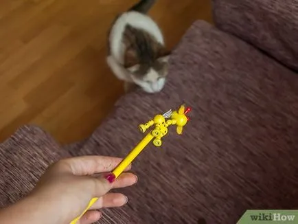 Как да се обучават на котка с помощта на профилни