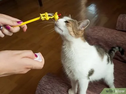 Hogyan vonat egy macska egy klikkelő