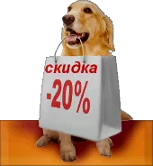 Formarea de câini de la Moscova (sud-vest)