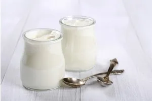 iaurt iaurt de casă