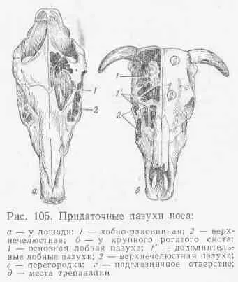 Двадесет и осмият лаборатория заетостта