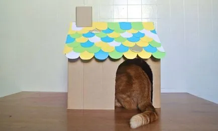 casă mică pentru o pisica cu propriile sale mâini - un blog veterinarii - belanta