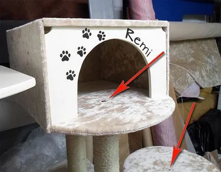 Малка къща за котка със собствените си ръце - блог ветеринари - belanta
