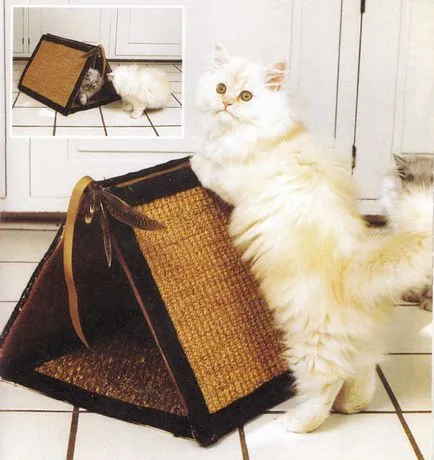 Kis ház egy macska a saját kezével - a blog állatorvosok - belanta