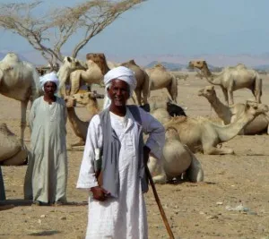 Egyiptomi etikett vagy hogyan kell kezelni az egyiptomiak, az előzékenységet