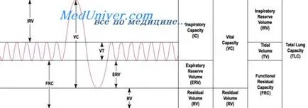 капацитета на белите дробове