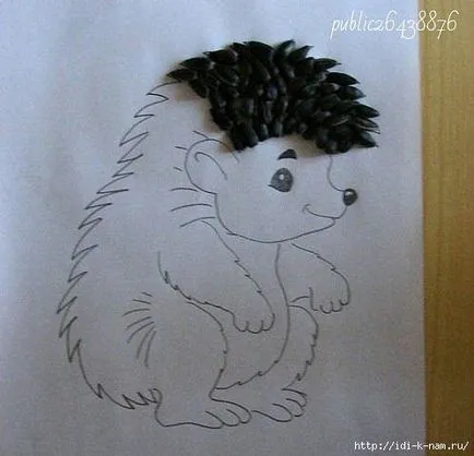 Hedgehog magokból