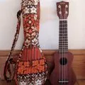 ukulele ukulele - să devină un muzician!