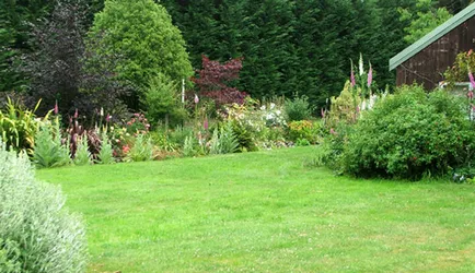 Тревни площи, красиви идеи за градината