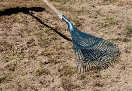 Lawn tél után, fésülködés gyep, levegőztetés, fejtrágyázás tippek