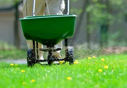 Lawn tél után, fésülködés gyep, levegőztetés, fejtrágyázás tippek