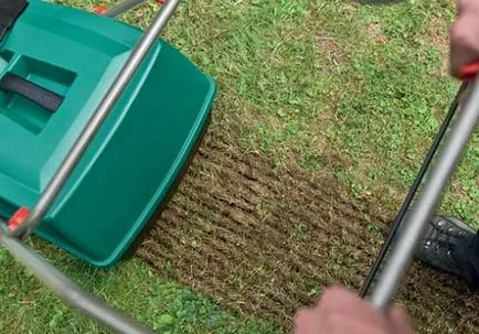 Lawn tél után, fésülködés gyep, levegőztetés, fejtrágyázás tippek