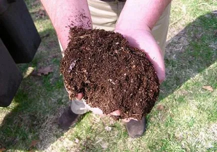 Lawn tél után, fésülködés gyep, levegőztetés, fejtrágyázás tippek