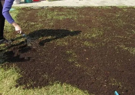 Lawn tél után, fésülködés gyep, levegőztetés, fejtrágyázás tippek