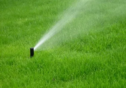 Lawn tél után, fésülködés gyep, levegőztetés, fejtrágyázás tippek