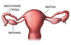 Гинекология изследване проходимостта на тръбите