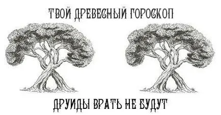 Друид Хороскоп - Съвместимост дървета, растения, приятели и вампири черпят енергия