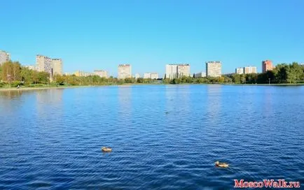 Golyanovsky park és tó - Moszkva séták, séták