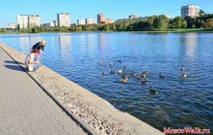 parc Golyanovsky și iaz - Moscova plimbări, plimbări