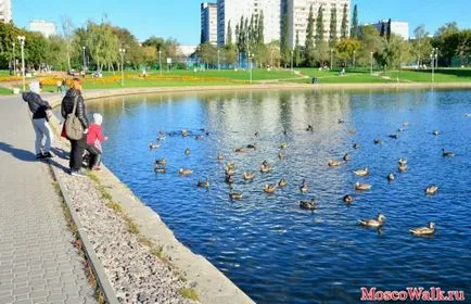 Golyanovsky park és tó - Moszkva séták, séták