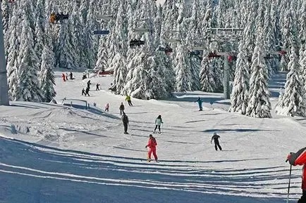 Síközpont Kopaonik (Kopaonik), jellemzői a központban, útvonalak, hogyan juthat