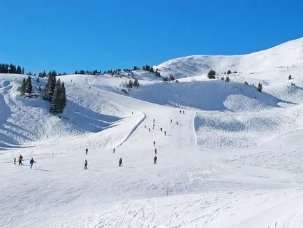 Stațiune de schi Kopaonik cum să obțineți de la Belgrad rapid și cu costuri reduse