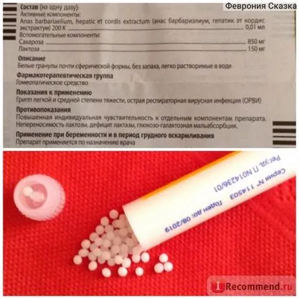 Homeopátia Boiron Oscillococcinum - „mágikus a pellet! Hogyan működik Oscillococcinum