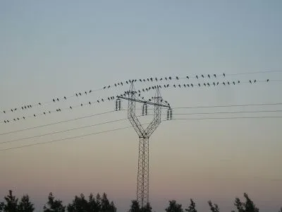 Din România în Anglia