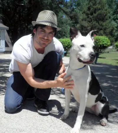 Ian Somerhalder se pune pe nollywoodrresents licitație