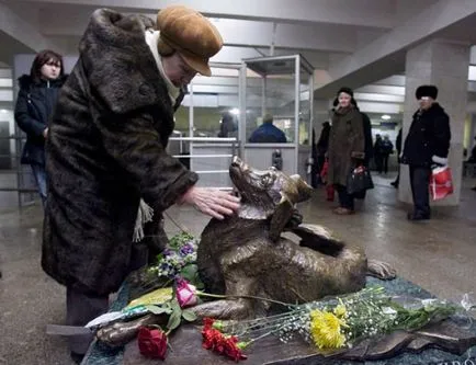 Като бездомни кучета са се адаптирали към метрото в Москва