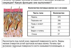 Как да се отървем от изпотяване на краката у дома