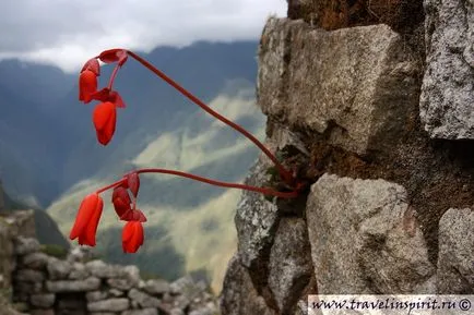 Hogyan lehet eljutni Machu Picchu, ötleteket utazás