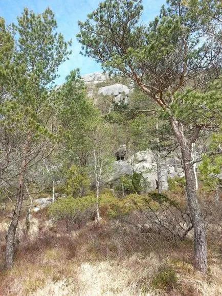 Cum se ajunge de la Oslo la Pulpit Rock și înapoi pentru 1 zi - 50 de fotografii și videoclipuri