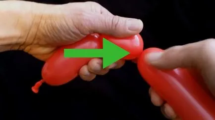 Cum pentru a simula animalele din baloane - vripmaster