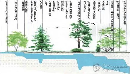 Как да се намери вода на площадката със собствените си ръце - до кладенеца, кладенеца