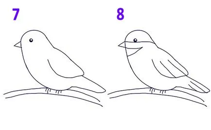 Cât de ușor să atragă o pasăre în etape