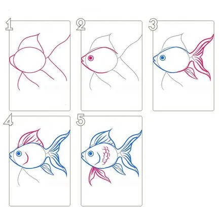 Hogyan kell felhívni a ceruzát szakaszában az akváriumi halak számára - hogyan kell felhívni, hogyan kell felhívni a tengerfenék