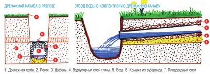 Както сушата