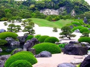 Hogyan építsünk egy japán sadhvoynye