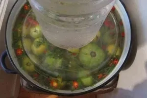 Hogyan savanyú zöld paradicsom egy bankot főzés receptek