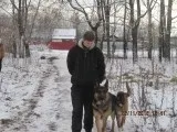 Куче, работещи в Novoperedelkino