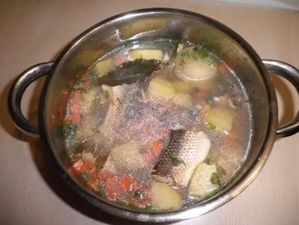Кременчуг супа