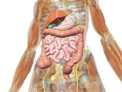 apendicectomie Laparoscopia și caracteristici ale cursul operațiunii