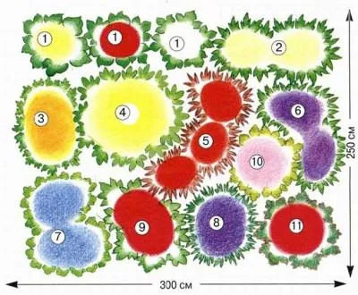 Lobelia în creștere din semințe, plantare și întreținere, de plantare în grădină - viața mea