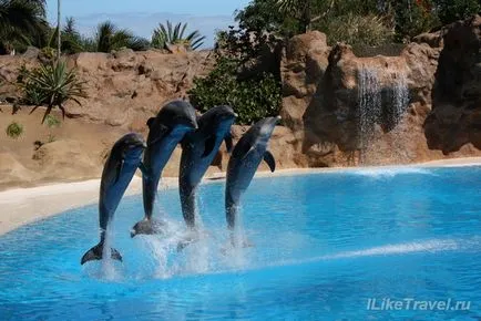 Loro Park numai în Tenerife