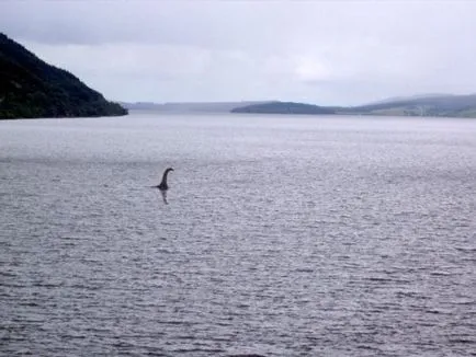 Lohnessoke fotografii și videoclipuri cu Nessie monstru mister