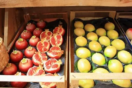 Menton citrom France (látnivalók, strandok, fotók) cikke