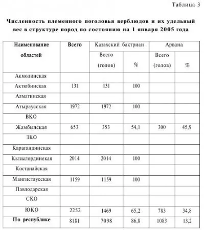 Camel tenyésztési módszerek - szól az állattenyésztés