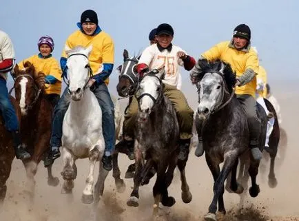 Световната конен спорт - сайт за коне